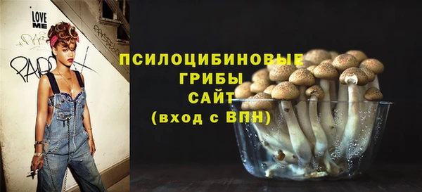 ПСИЛОЦИБИНОВЫЕ ГРИБЫ Богородицк