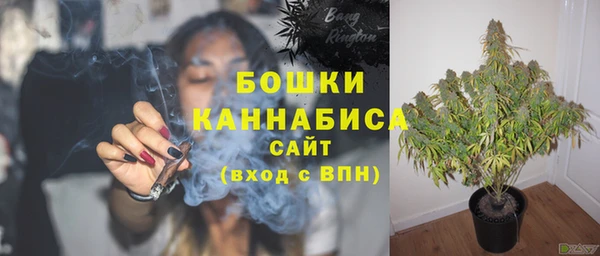 PSILOCYBIN Богородск