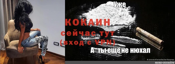 бошки Богданович