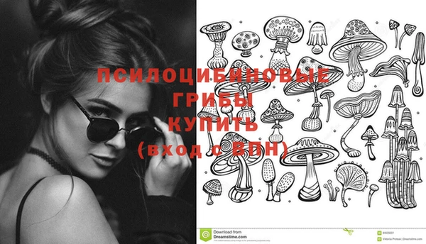 PSILOCYBIN Богородск