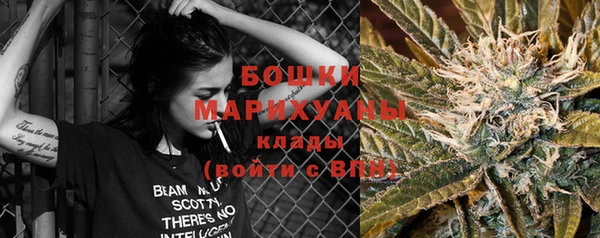 бошки Богданович
