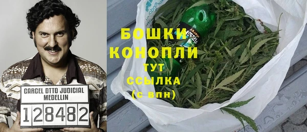 PSILOCYBIN Богородск