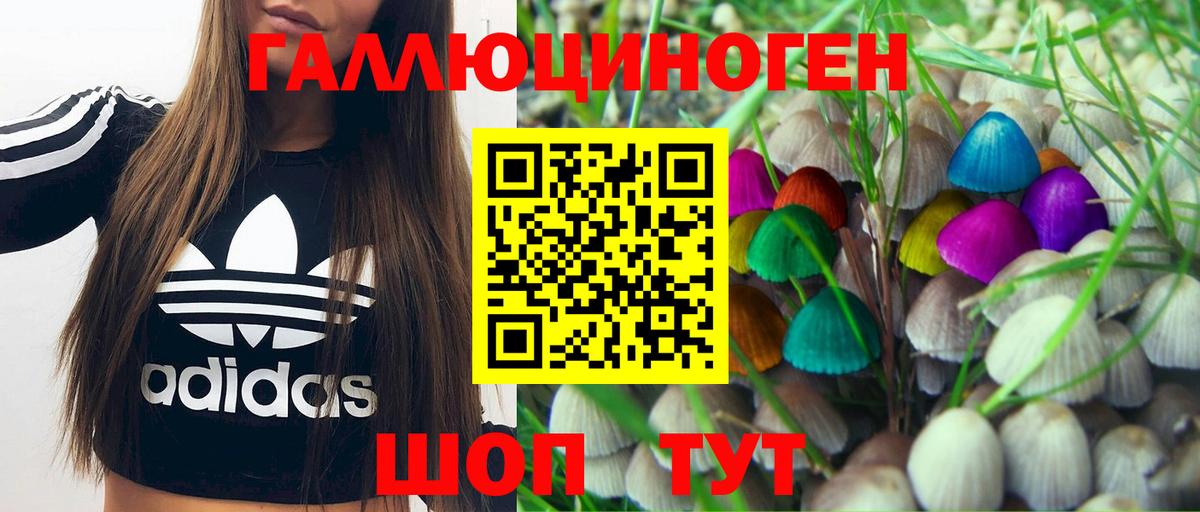 где можно купить   Псилоцибиновые грибы MAGIC MUSHROOMS  Верхняя Пышма  Вход с VPN  Псилоцибиновые грибы мицелий 