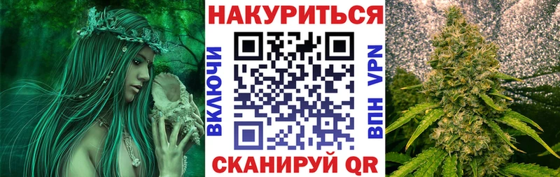 купить наркотик  Верхняя Пышма  Бошки марихуана ГИДРОПОН 
